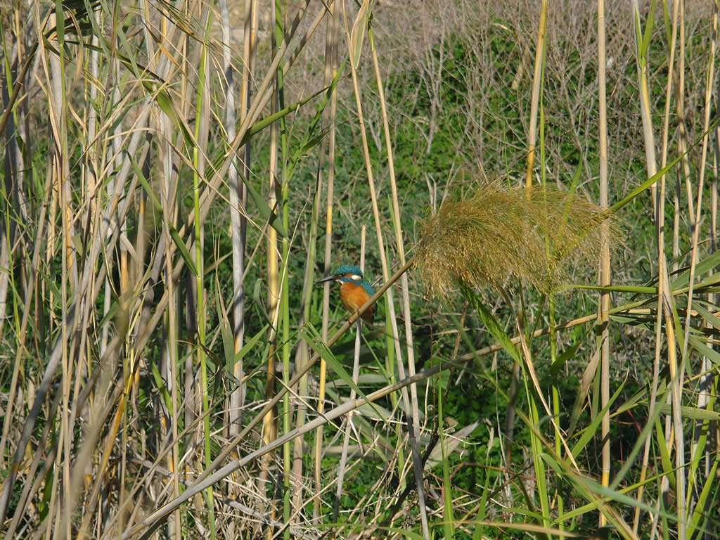 DSCF3131, Larnaka, Cyprus