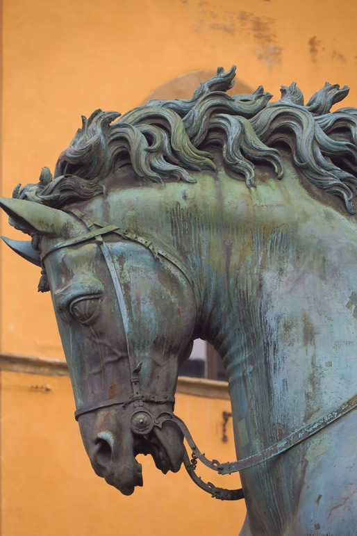 IMG_6550: Firenze