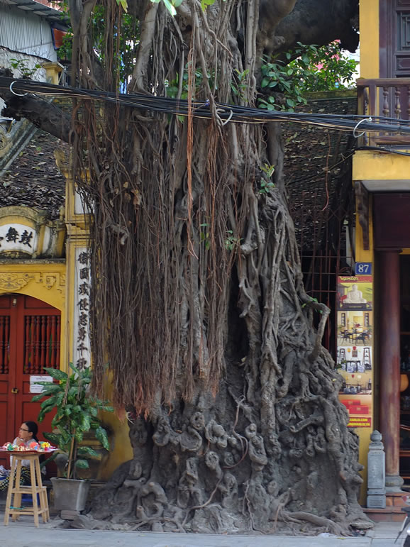 DSCF6111, Hanoi