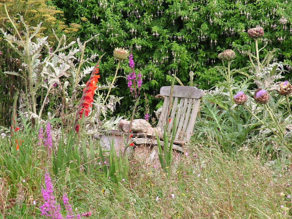 DSCF2814, Iona