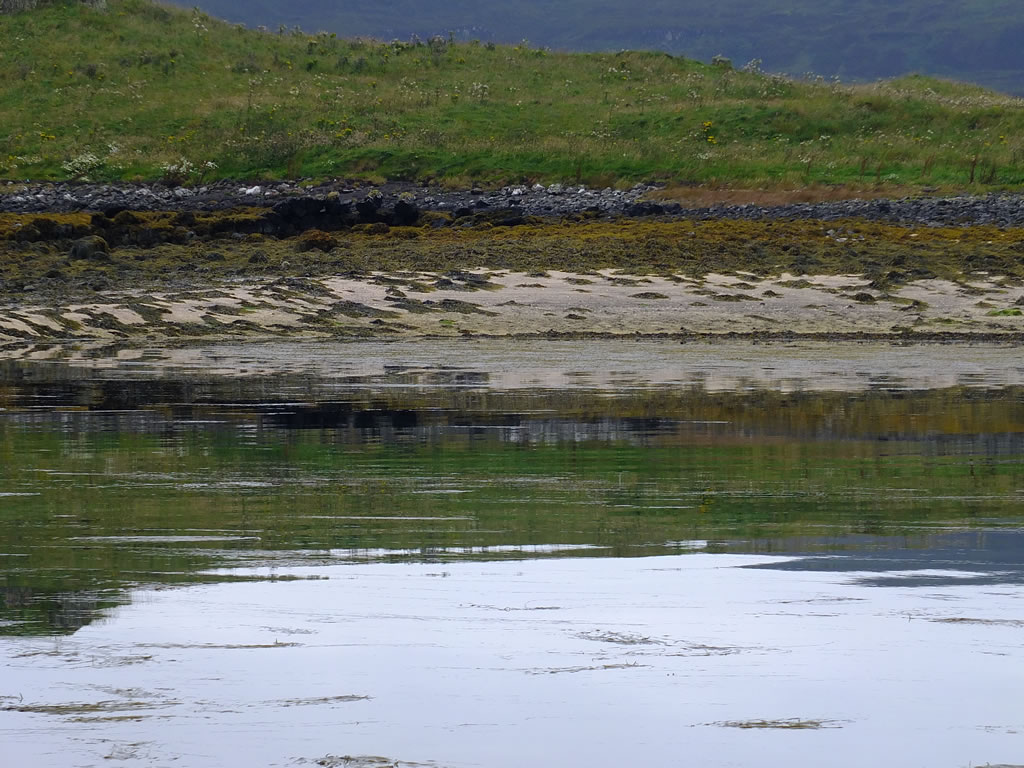 DSCF5416 Skye