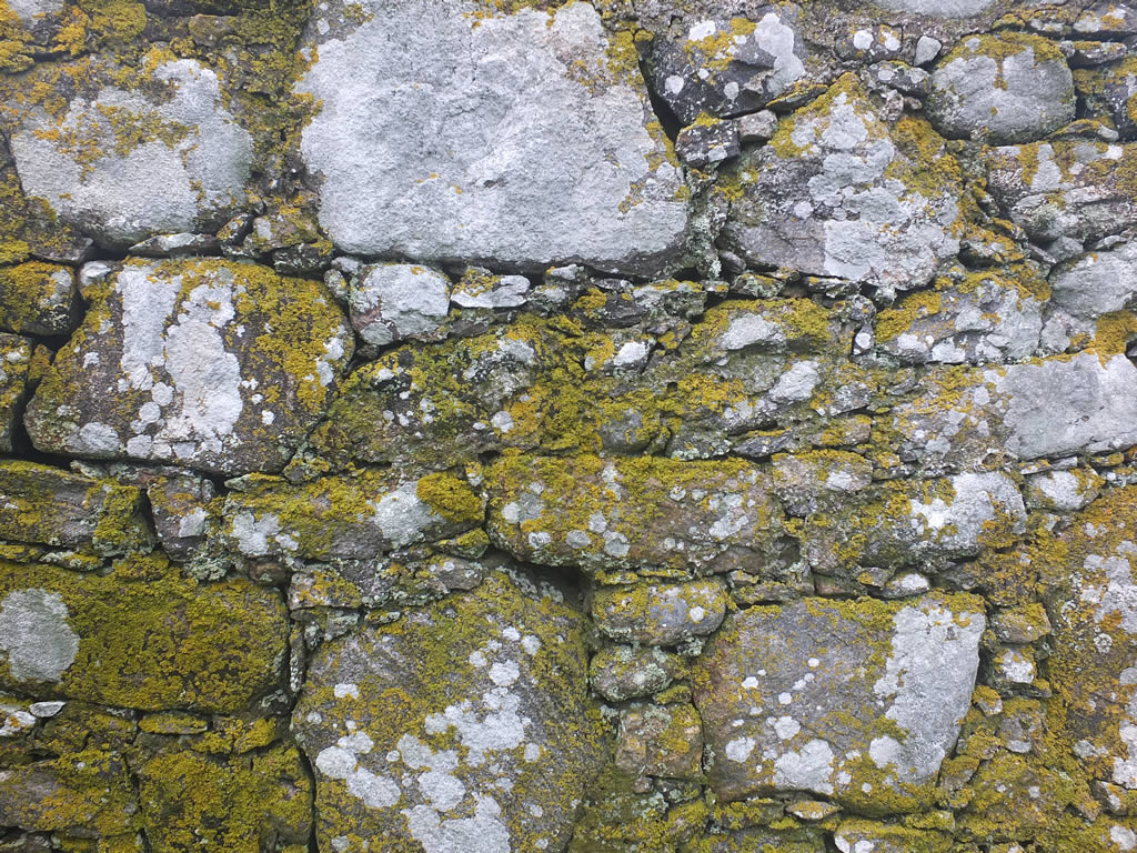DSCF7561: Howmore