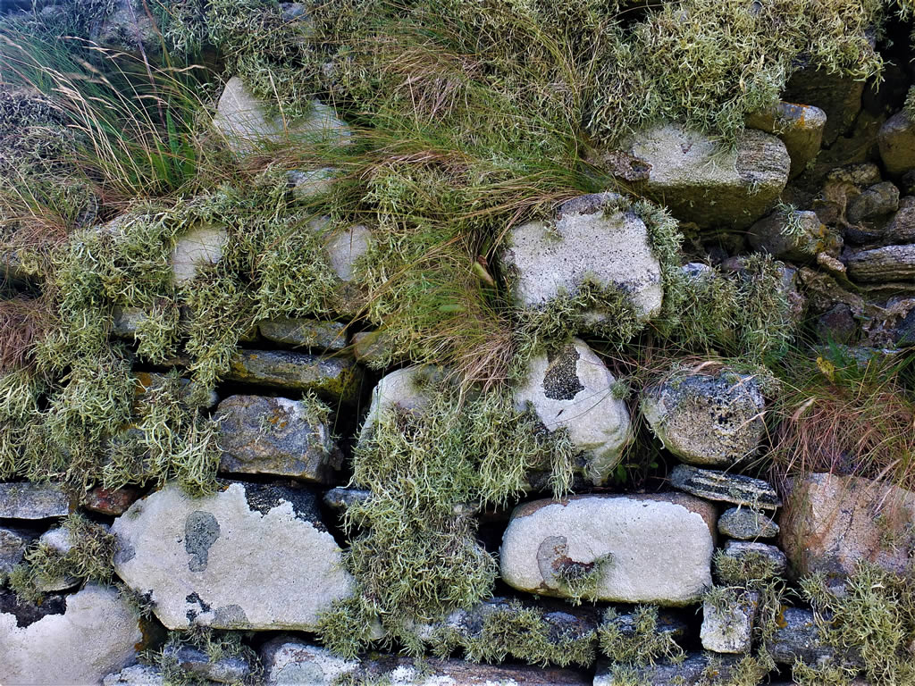 DSCF7580_E: Howmore