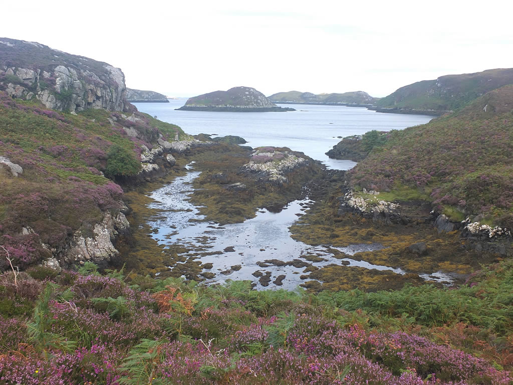 DSCF7654_E: Grimsay