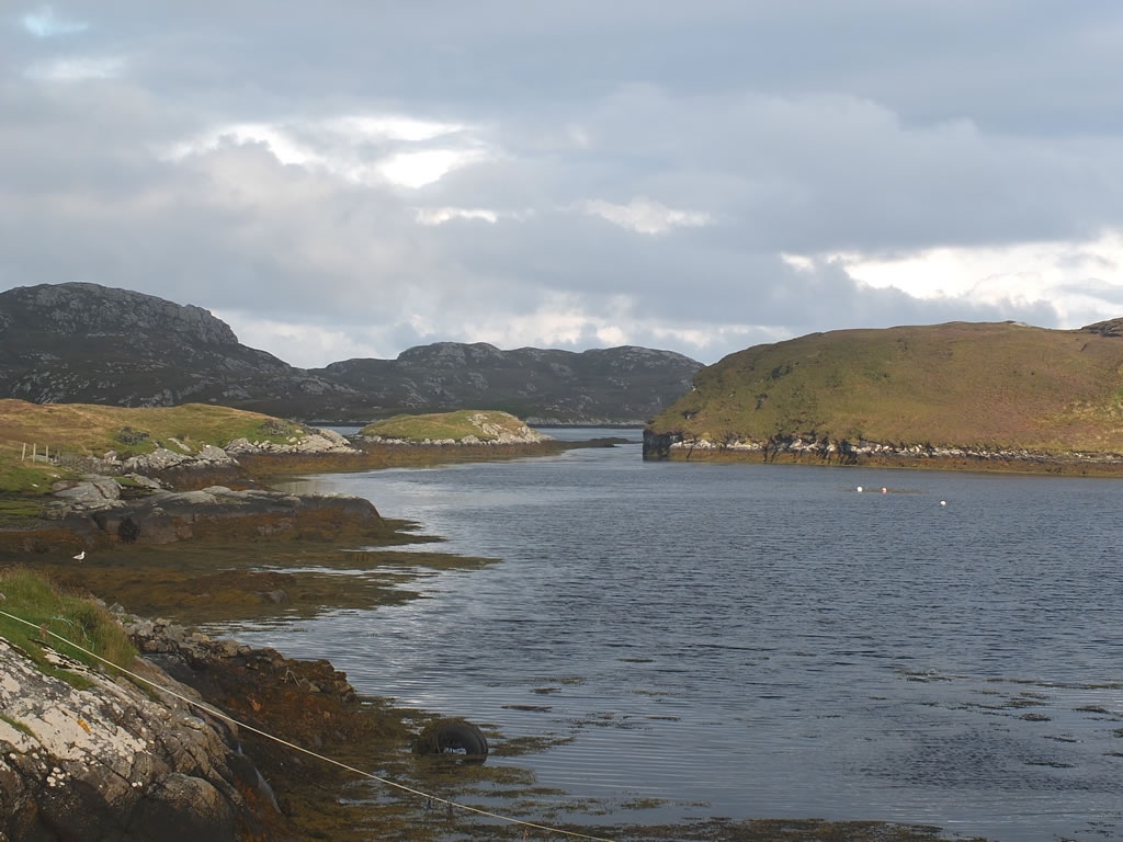 DSCF7731: Grimsay