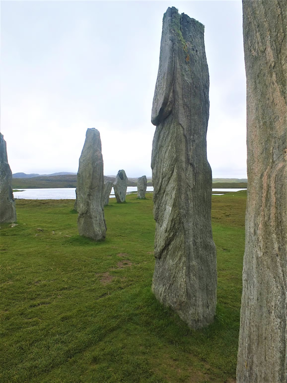DSCF7796_E: Calanais Stones
