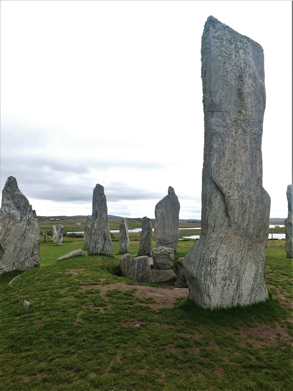 DSCF7801_E: Calanais Stones