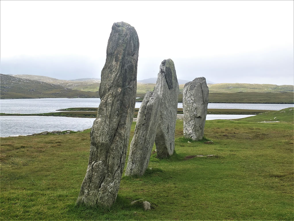 DSCF7802_E: Calanais Stones