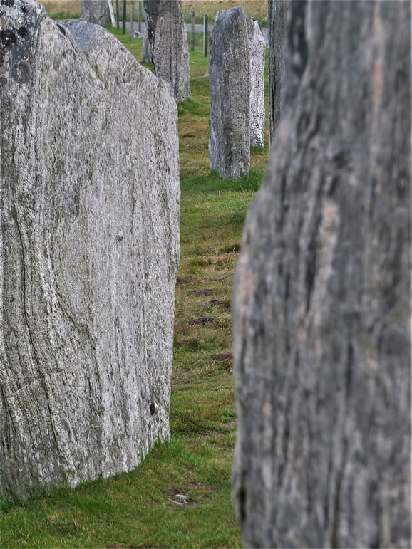 DSCF7809_E: Calanais Stones