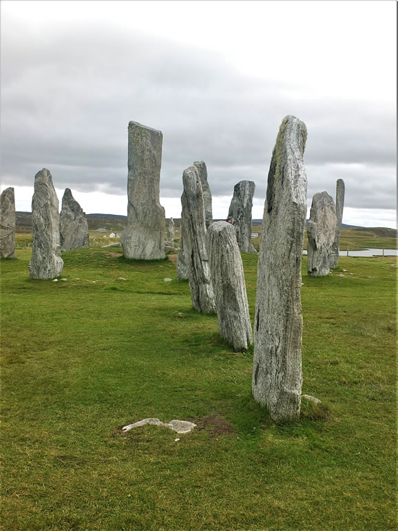 DSCF7837_E: Calanais Stones