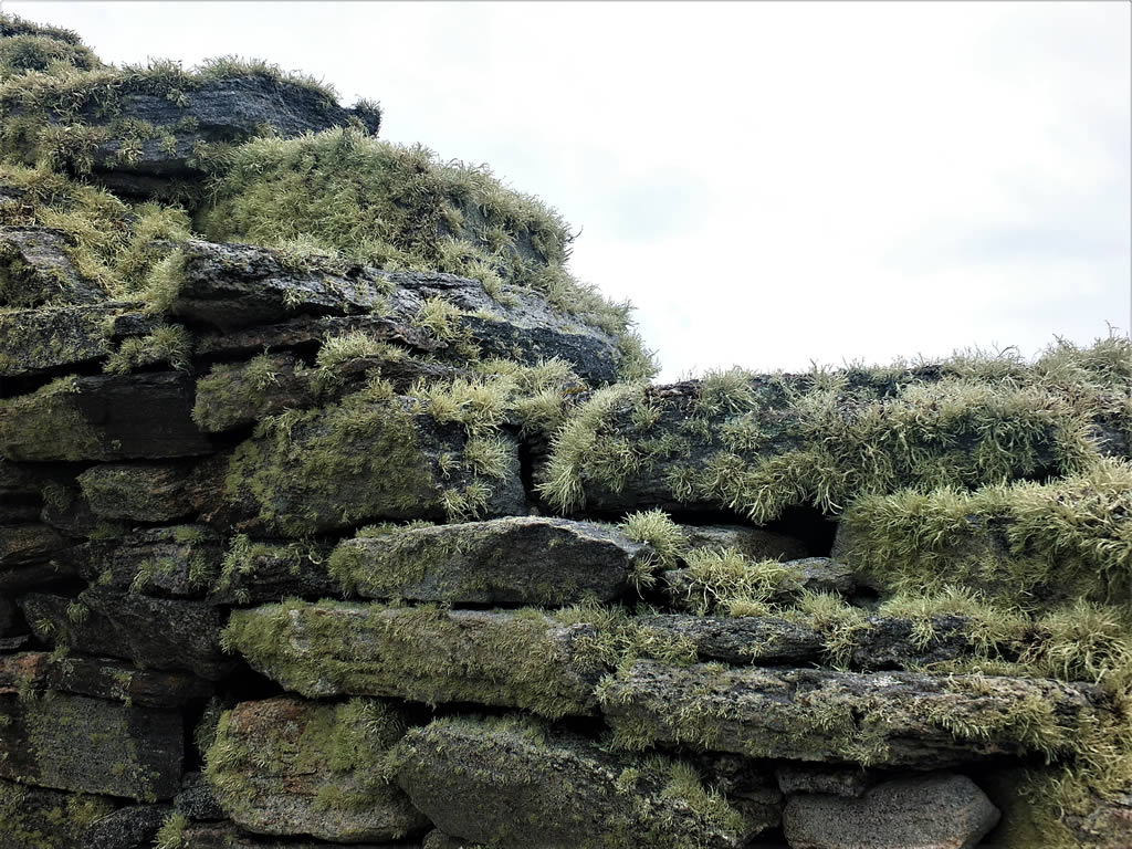 DSCF7868_E: Dun Carloway Broch