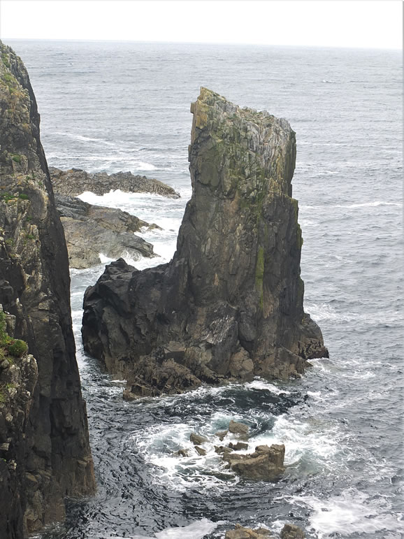 DSCF7898_E: Butt of Lewis