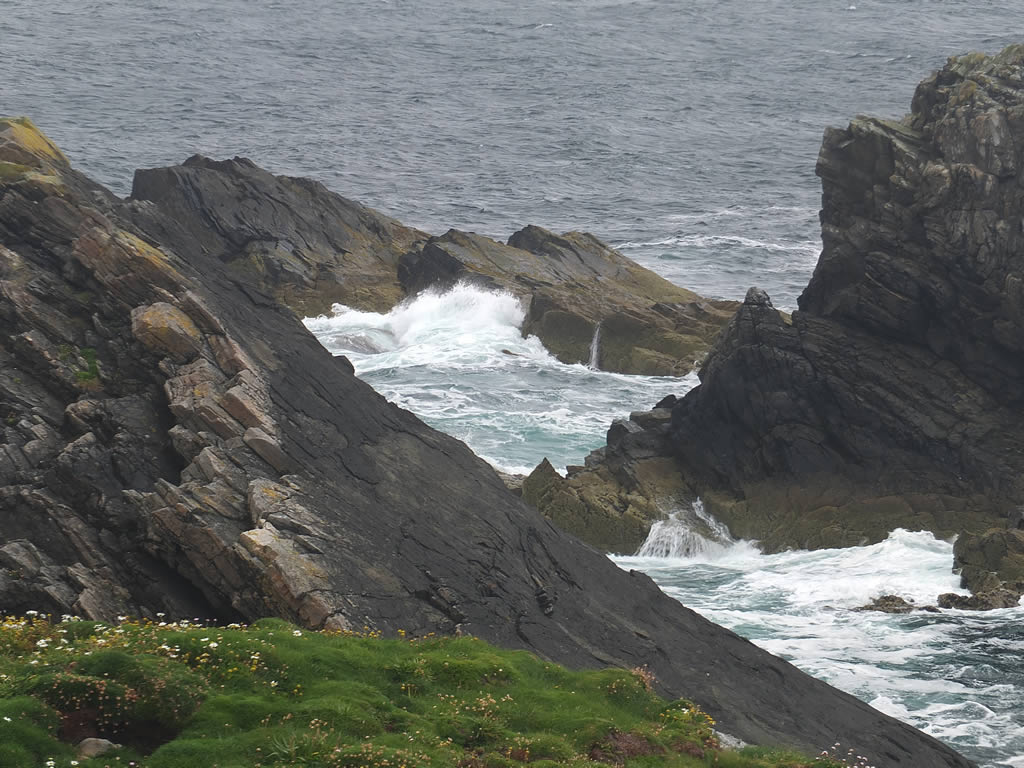 DSCF7906: Butt of Lewis
