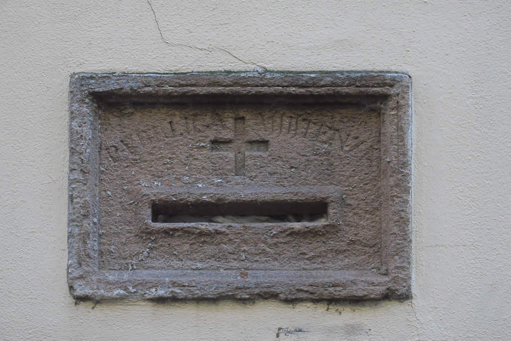 IMG_5480: Lucca