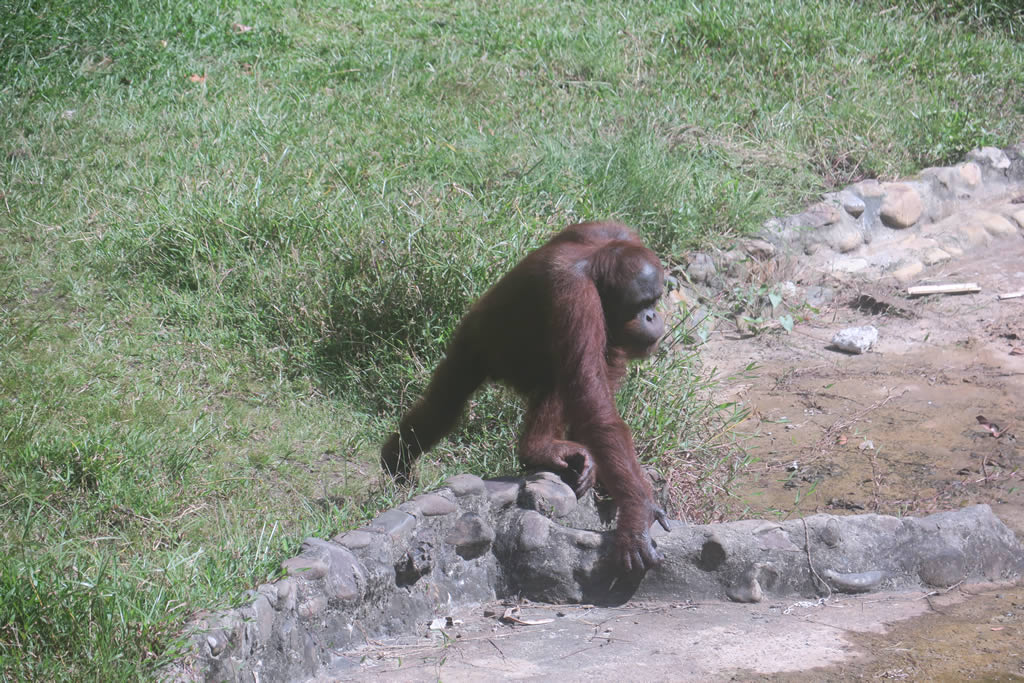 IMG_0064: Matang