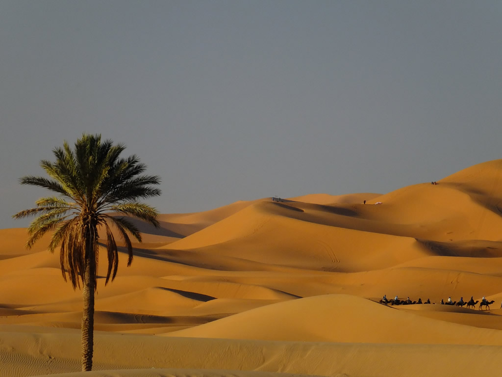 DSCF5906, Sahara Desert, Merzouga