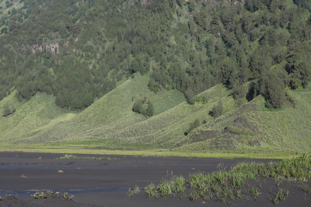 IMG_8645: MtBromo