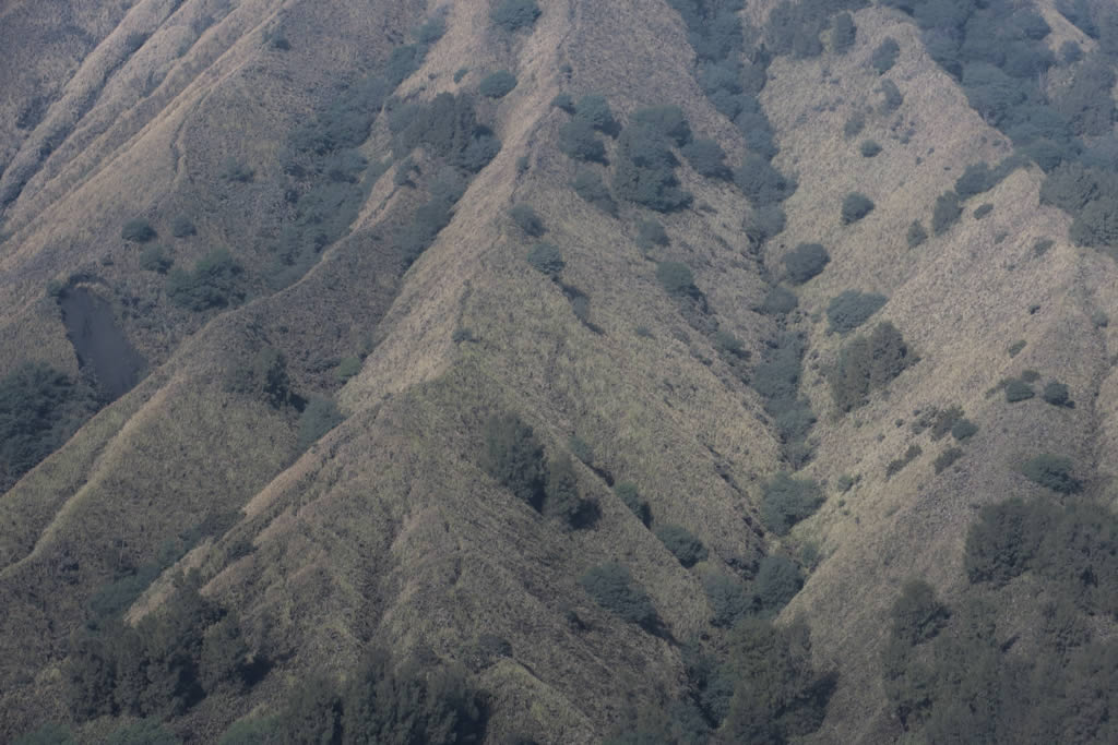 IMG_8656: MtBromo