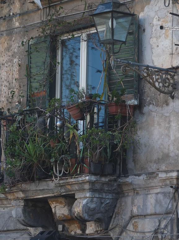 DSCF9165: Palermo
