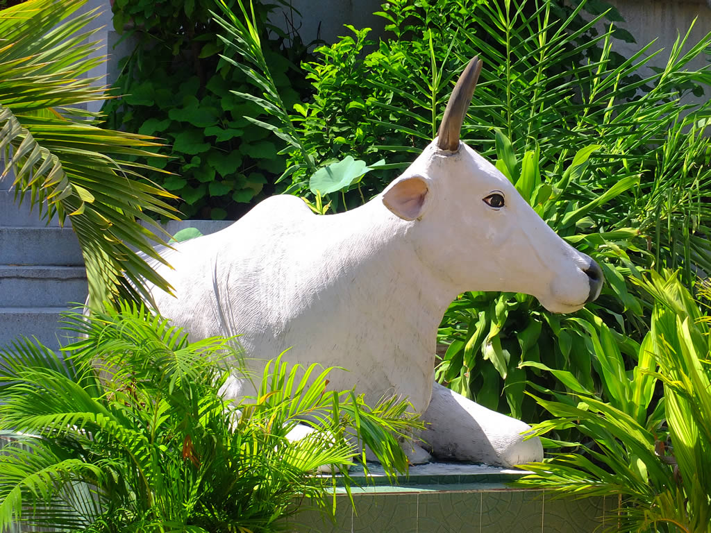 DSCF6914: Phnom Penh