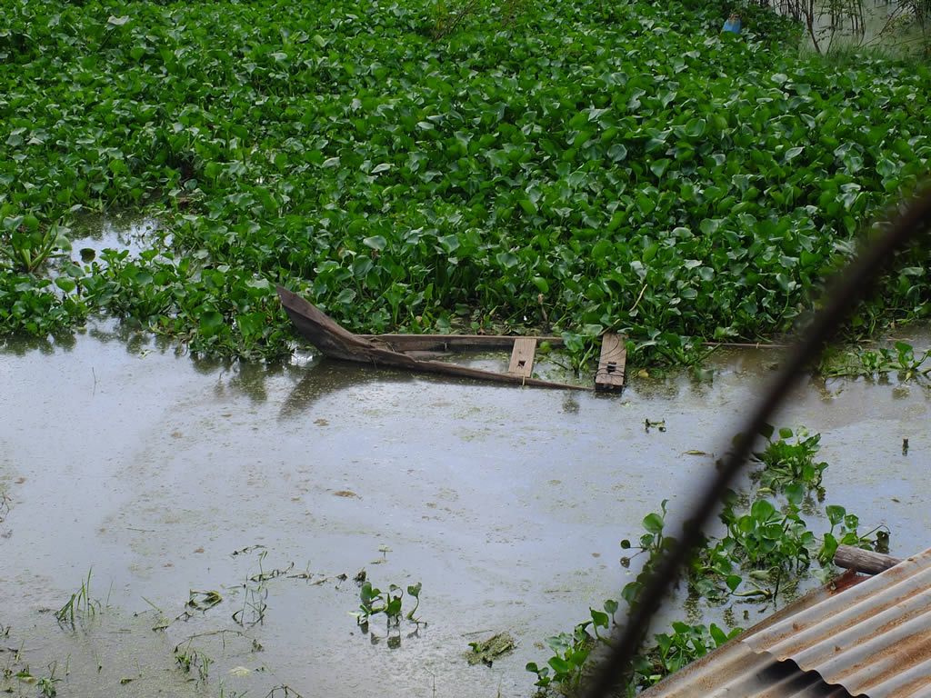 DSCF6969: Phnom Penh
