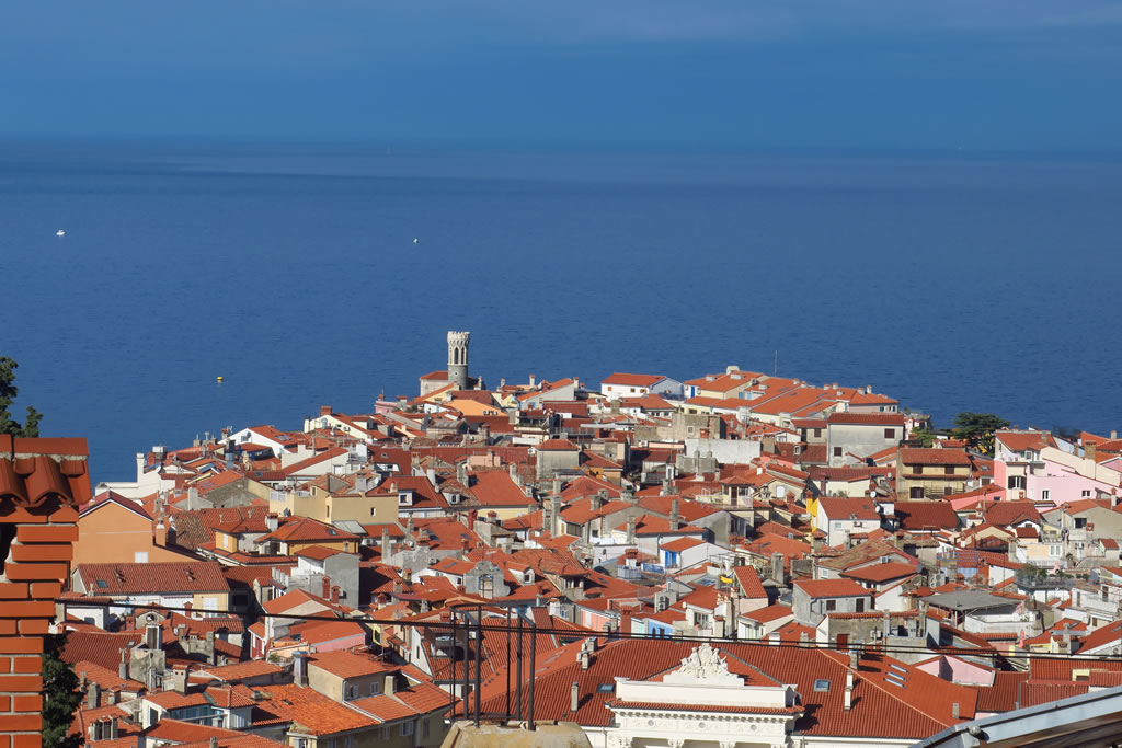 IMG_3271: Piran