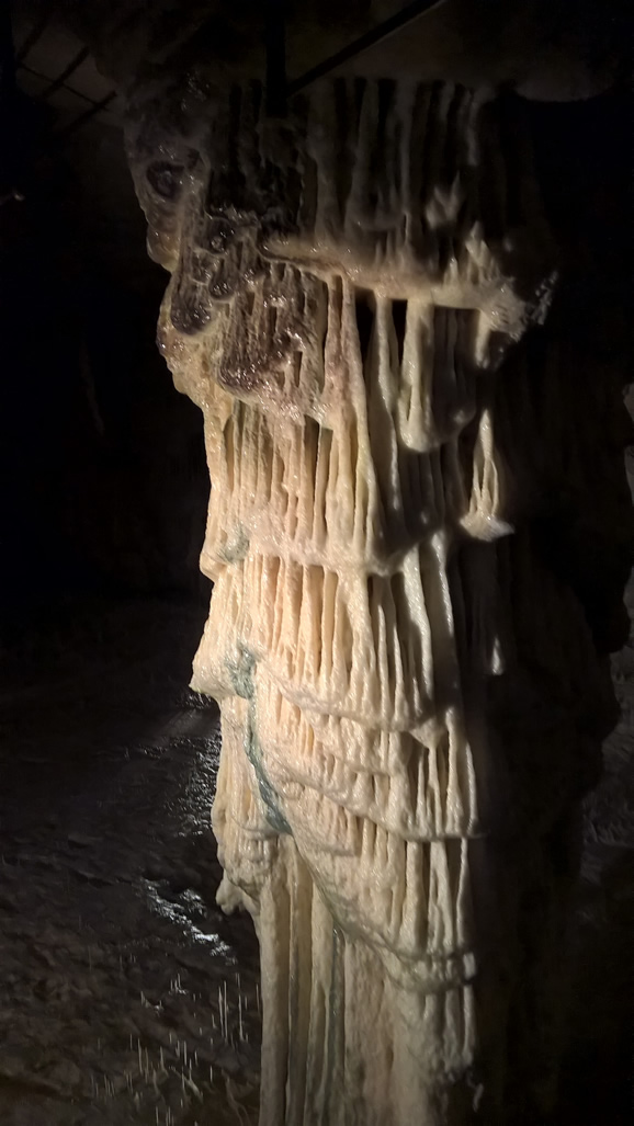 WP_20181016_12_43_53_Pro: Postojna