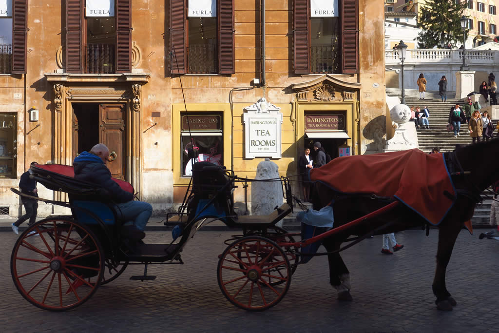 IMG_7108: Rome