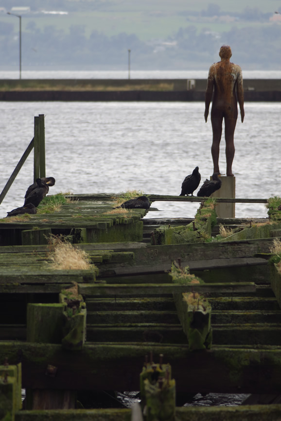 IMG_2462 Leith