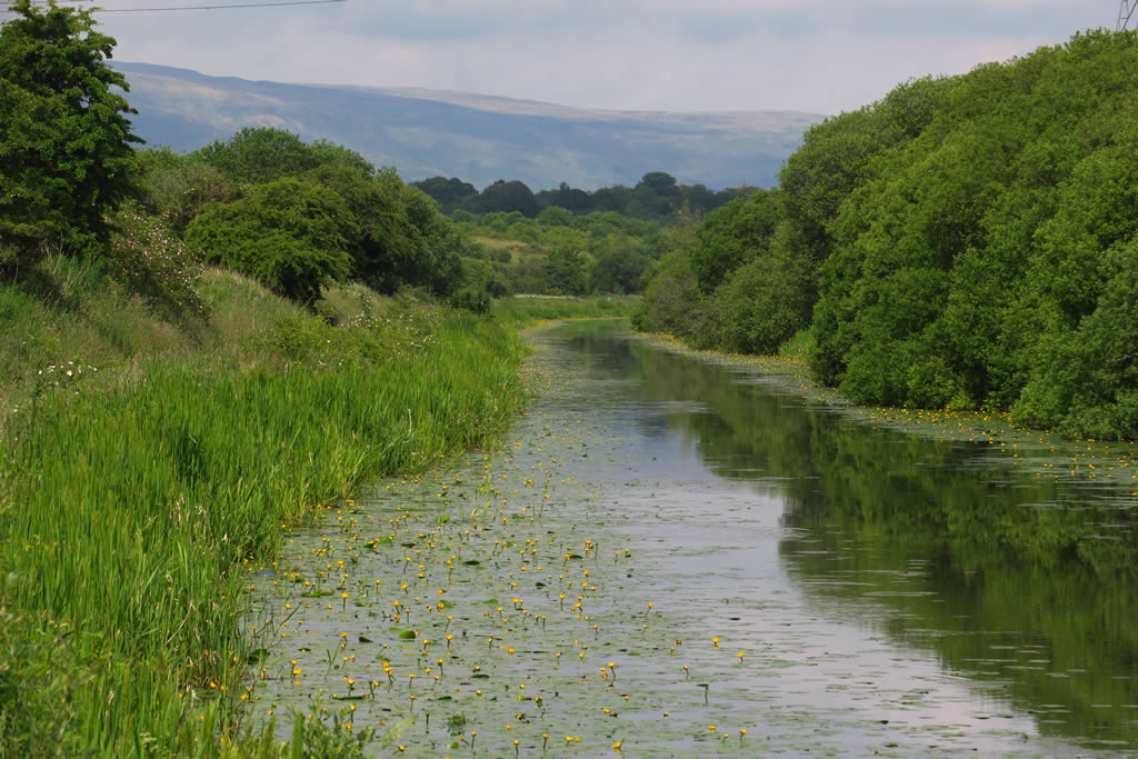 IMG_4556 Forth & Clyde Canal