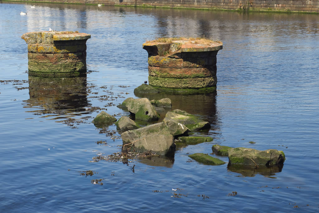 IMG_0631 Ayr