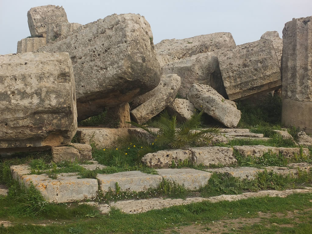 DSCF9291: Selinunte