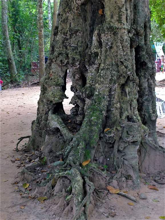 DSCF7287_E: Banteay Kdei