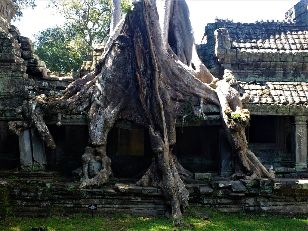 DSCF7389_E: Neak Pean