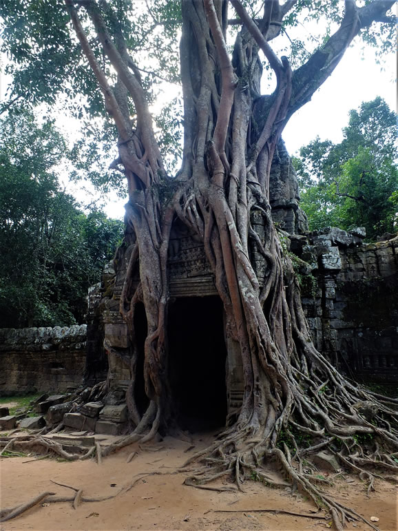 DSCF7460_E: Banteay Srei