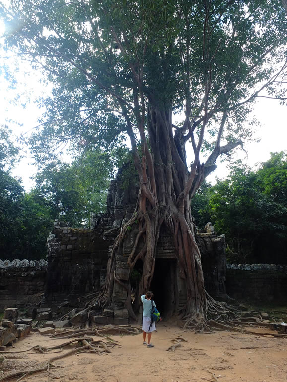 DSCF7461: East Mebon