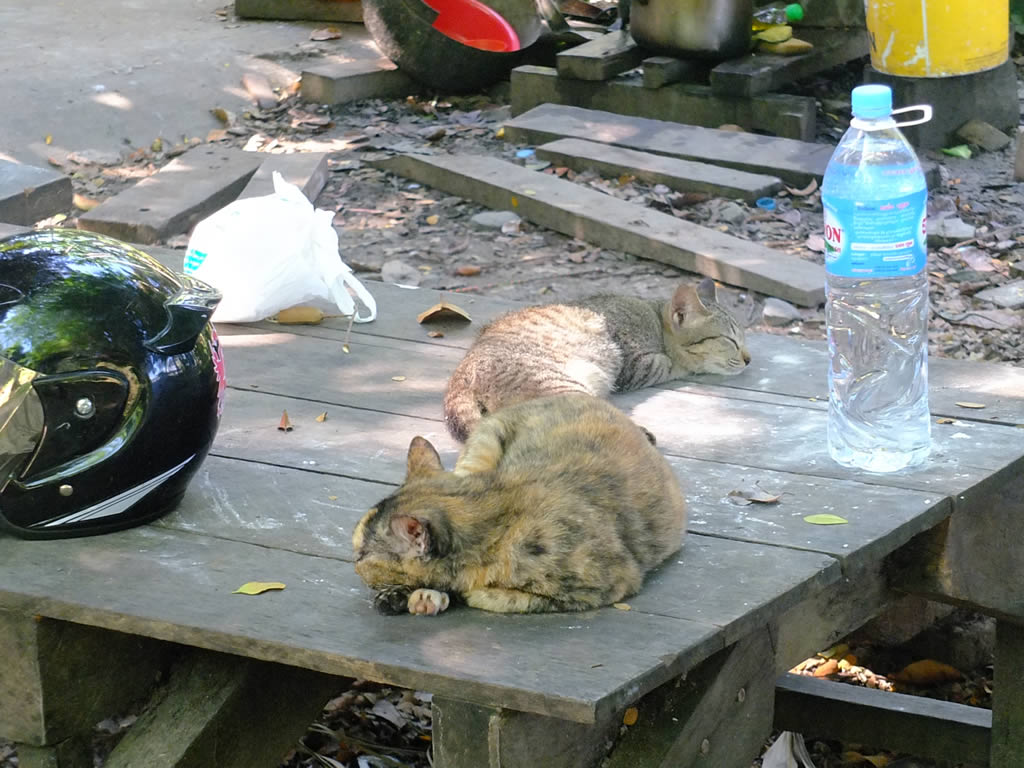 DSCF7576: Angkor Wat
