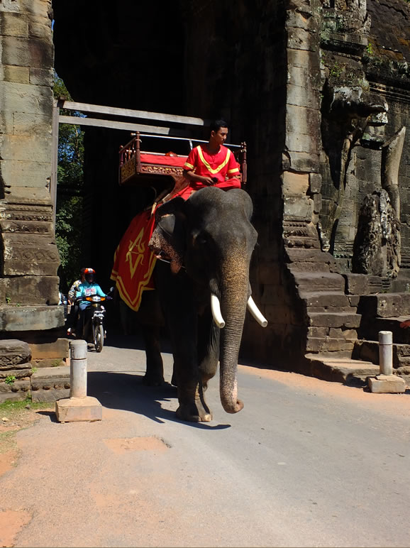 DSCF7605: Angkor Thom