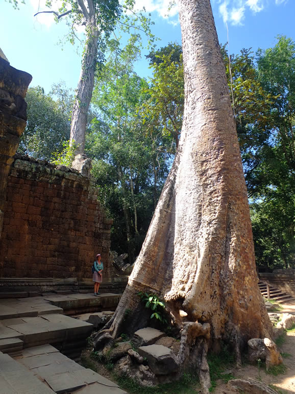 DSCF7650: Ta Prohm