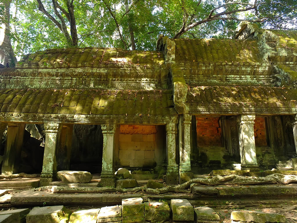 DSCF7664: Ta Prohm