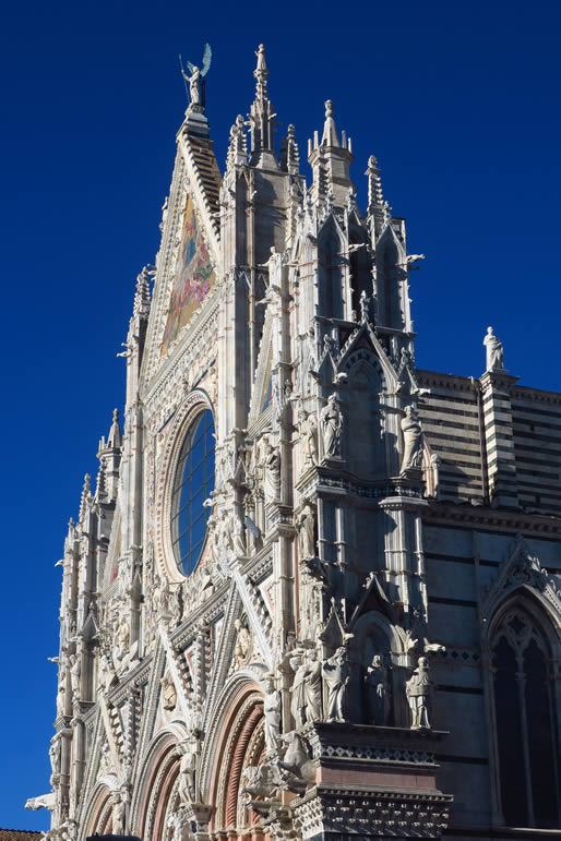 IMG_6648: Siena