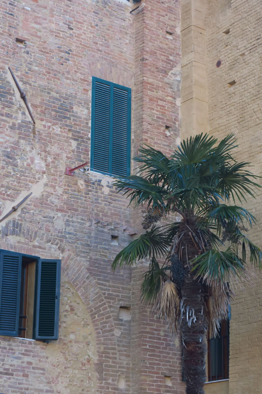 IMG_6709: Siena