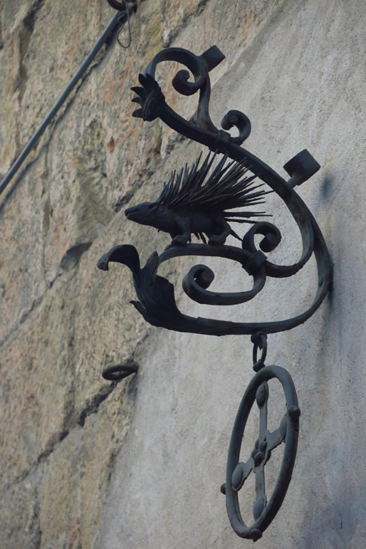 IMG_6737: Siena