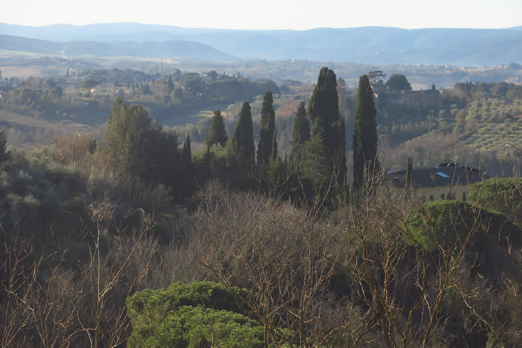 IMG_6759: Siena