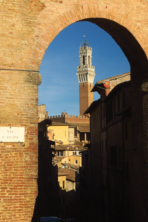 IMG_6769: Siena