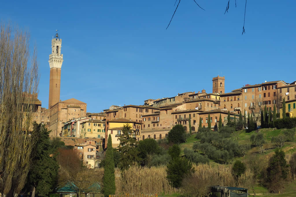 IMG_6780: Siena