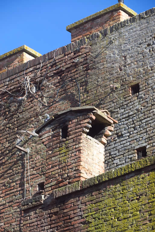 IMG_6838: Siena