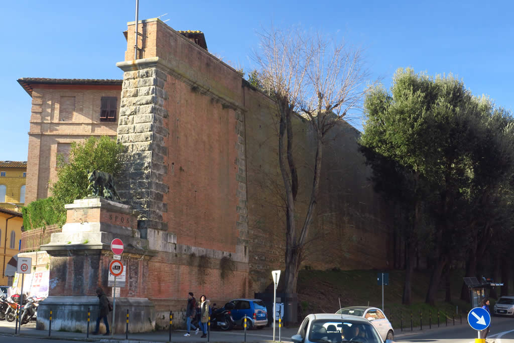 IMG_6857: Siena