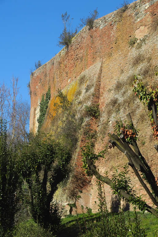 IMG_6890: Siena