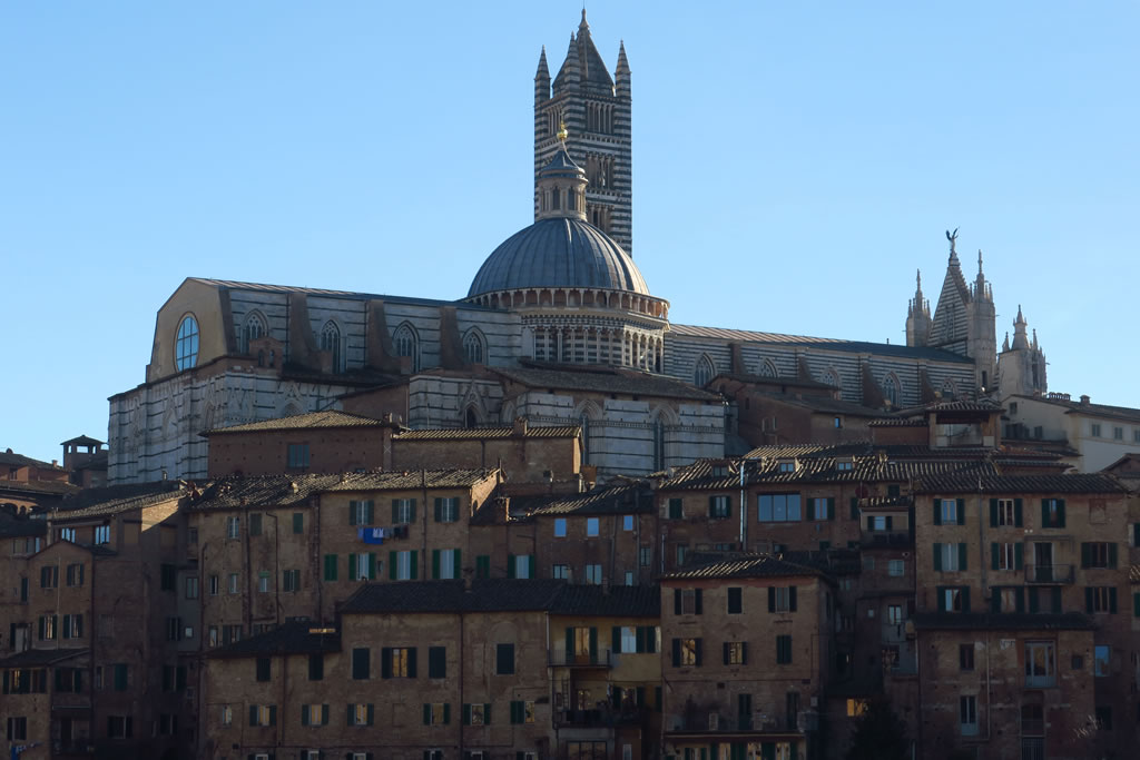 IMG_6916: Siena